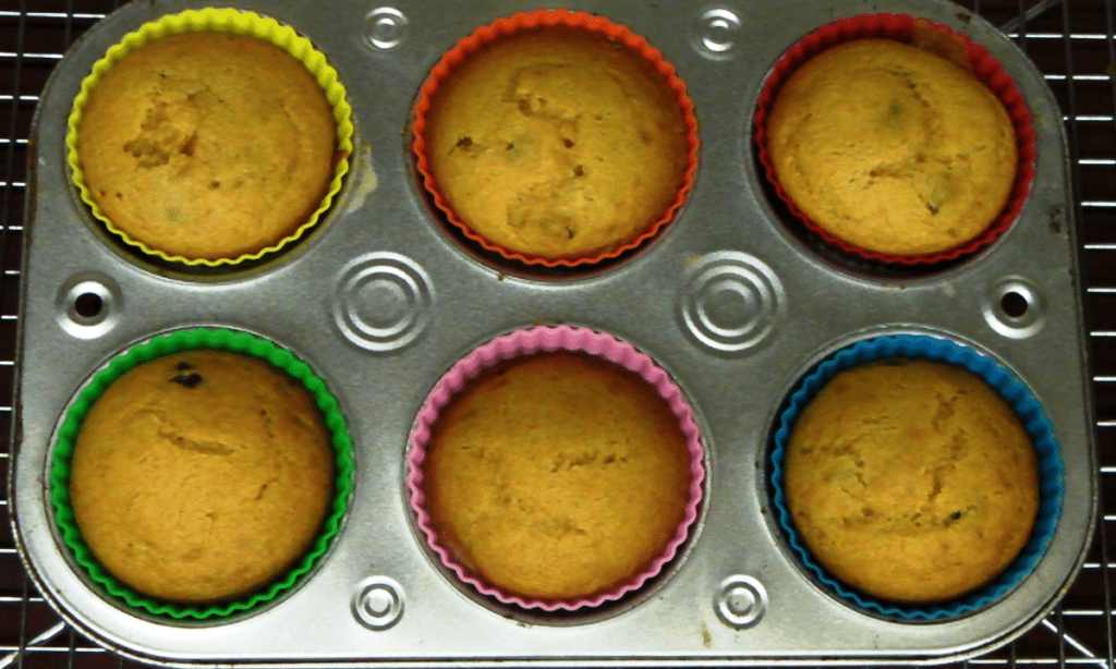 Whole wheat orange and cranberry muffins