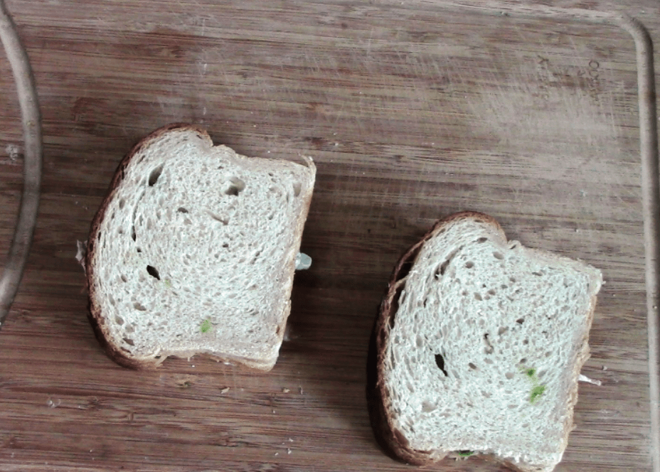 Grilled Veg Sandwich With Hung Curd | Quick Breakfast Recipe