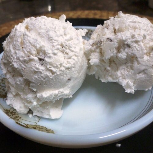 fresh coconut ice cream