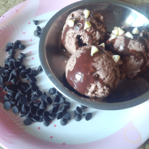 Chocolate Ice Cream with Choco Chips