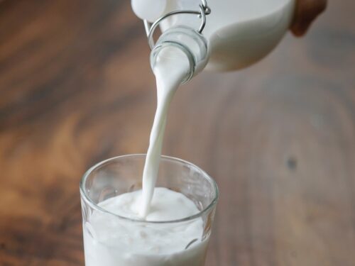What Is Milk | Types Of Milk And Its Benefits | Best Alternatives To Dairy Milk
