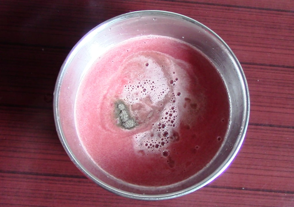 5 Minute Watermelon Mint Juice( No Added Sugar)