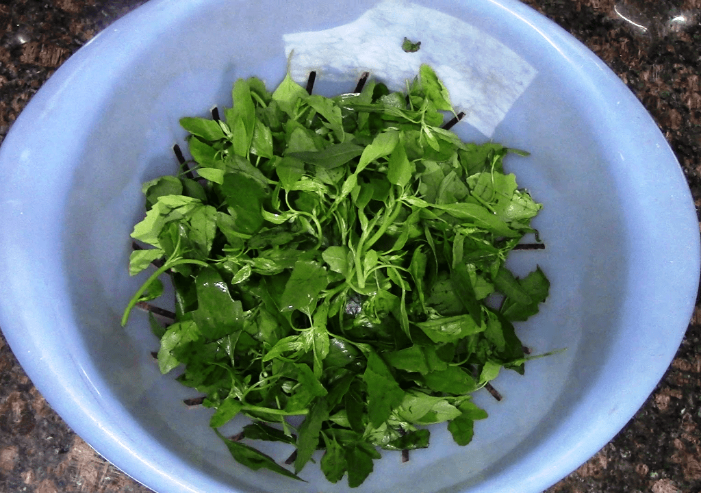 Healthy bathua raita/Curd chenopodium dip