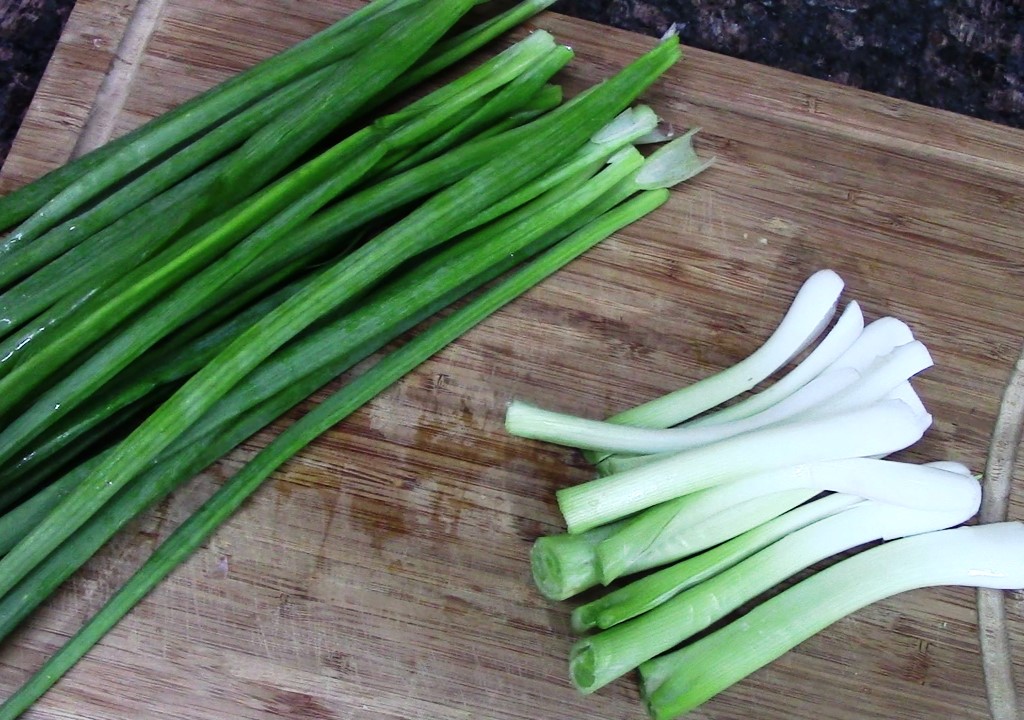 Simple Spring onion veg curry/ Hare pyaz ki sabji