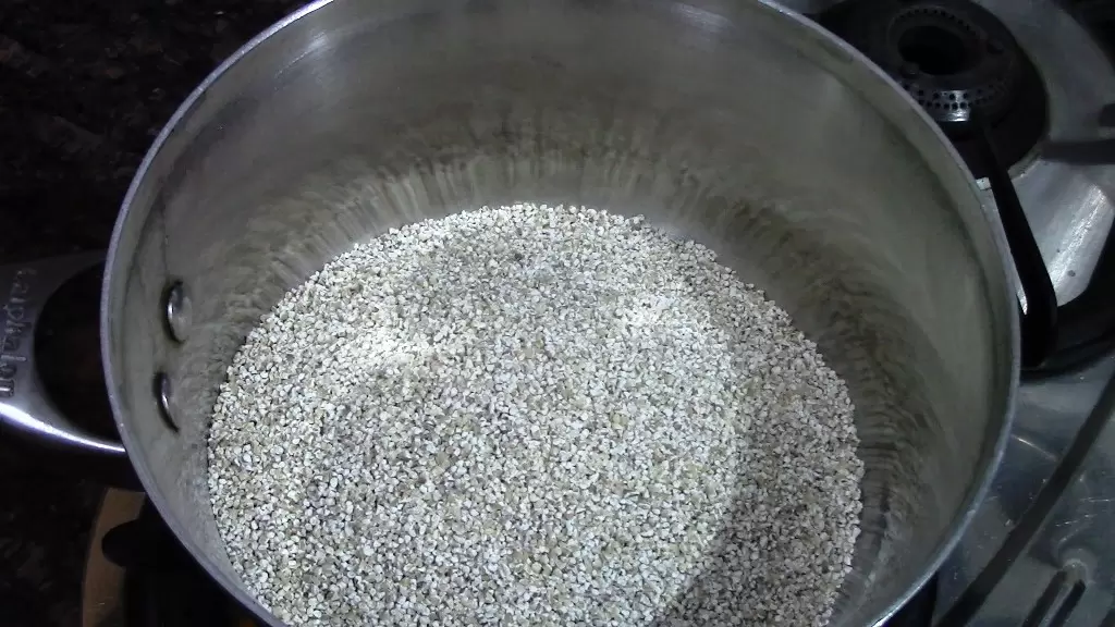 Jau Ka Dalia| Easy Barley Dalia Recipe for Weight Loss 3 1 1 Healthically Kitchen