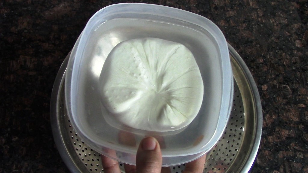 How to Make Low Fat Paneer At Home: A Step-by-Step Guide