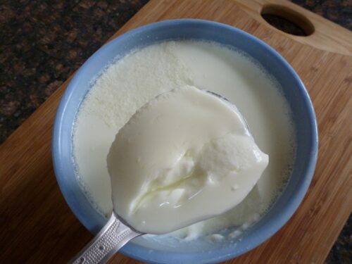 how to make curd with toned milk