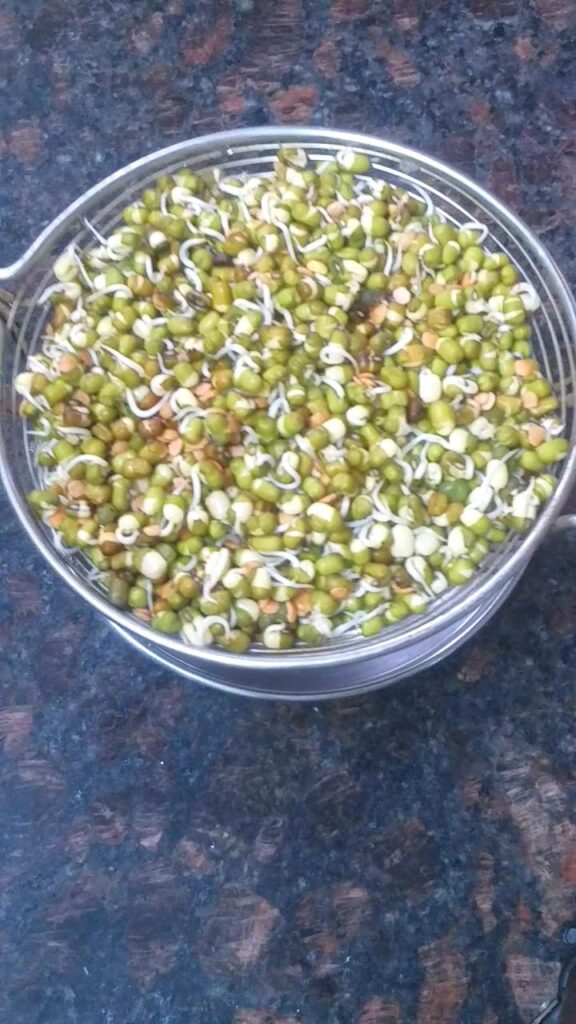 Sprouted Moong Dal Chilla | High Protein Breakfast for Weight Loss & Diabetics 2 moong dal sprouts 1 Healthically Kitchen