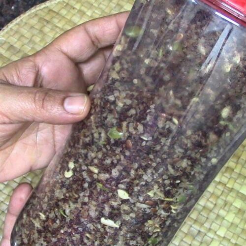 Millet Flakes Granola Recipe | No Oats Sugar-Free Millet Breakfast 3 Millet Flakes Granola Recipe | No Oats Sugar-Free Millet Breakfast